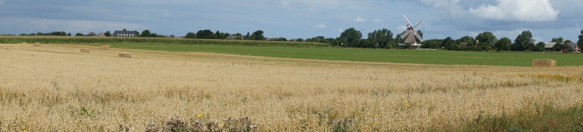 Karte Borgsum